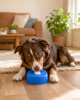 Pet & You Slow-Feeder Lick Bowl — Calm Mealtimes for Anxious & Fast-Eating Dogs