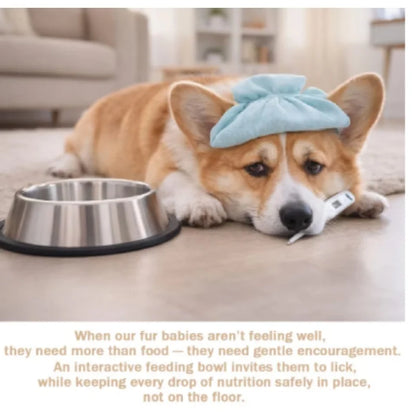 Pet & You Slow-Feeder Lick Bowl — Calm Mealtimes for Anxious & Fast-Eating Dogs
