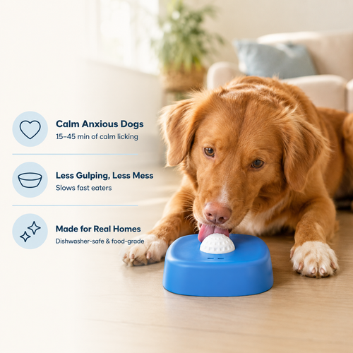 Pet & You Slow-Feeder Lick Bowl — Calm Mealtimes for Anxious & Fast-Eating Dogs